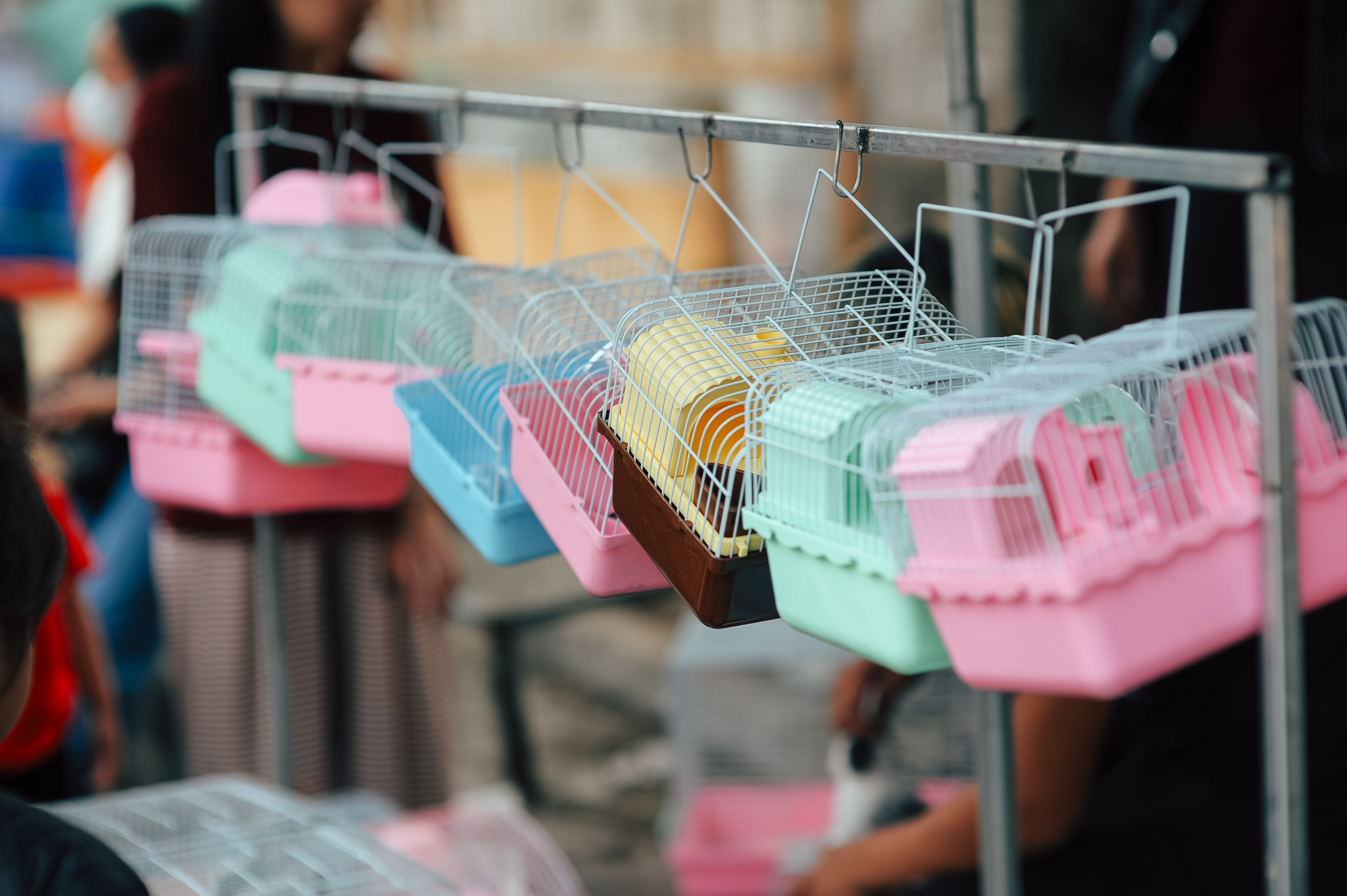 Pet food and supplies ready for dropshipping delivery