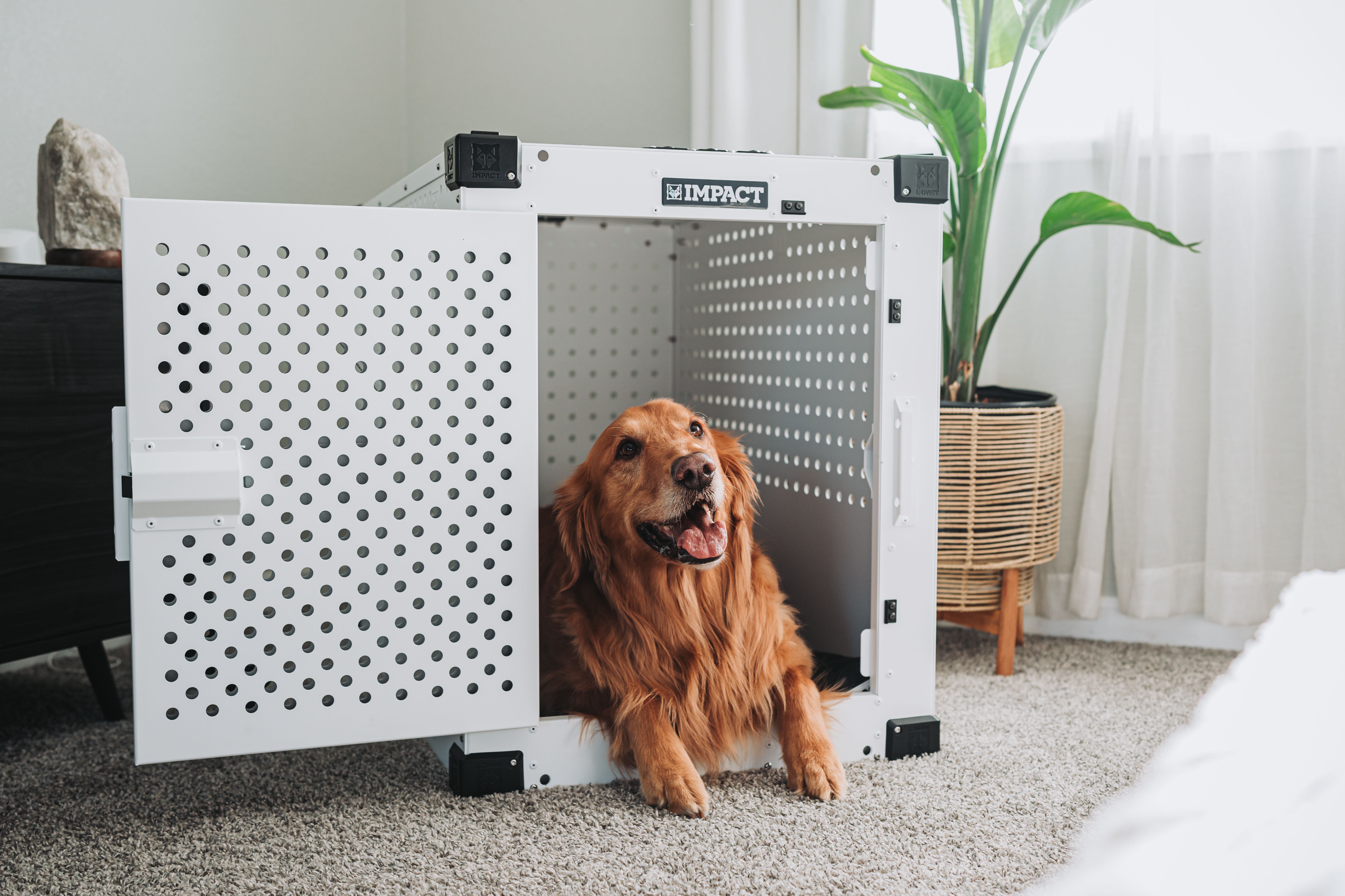 Dog crates and pet containment products for safe travel