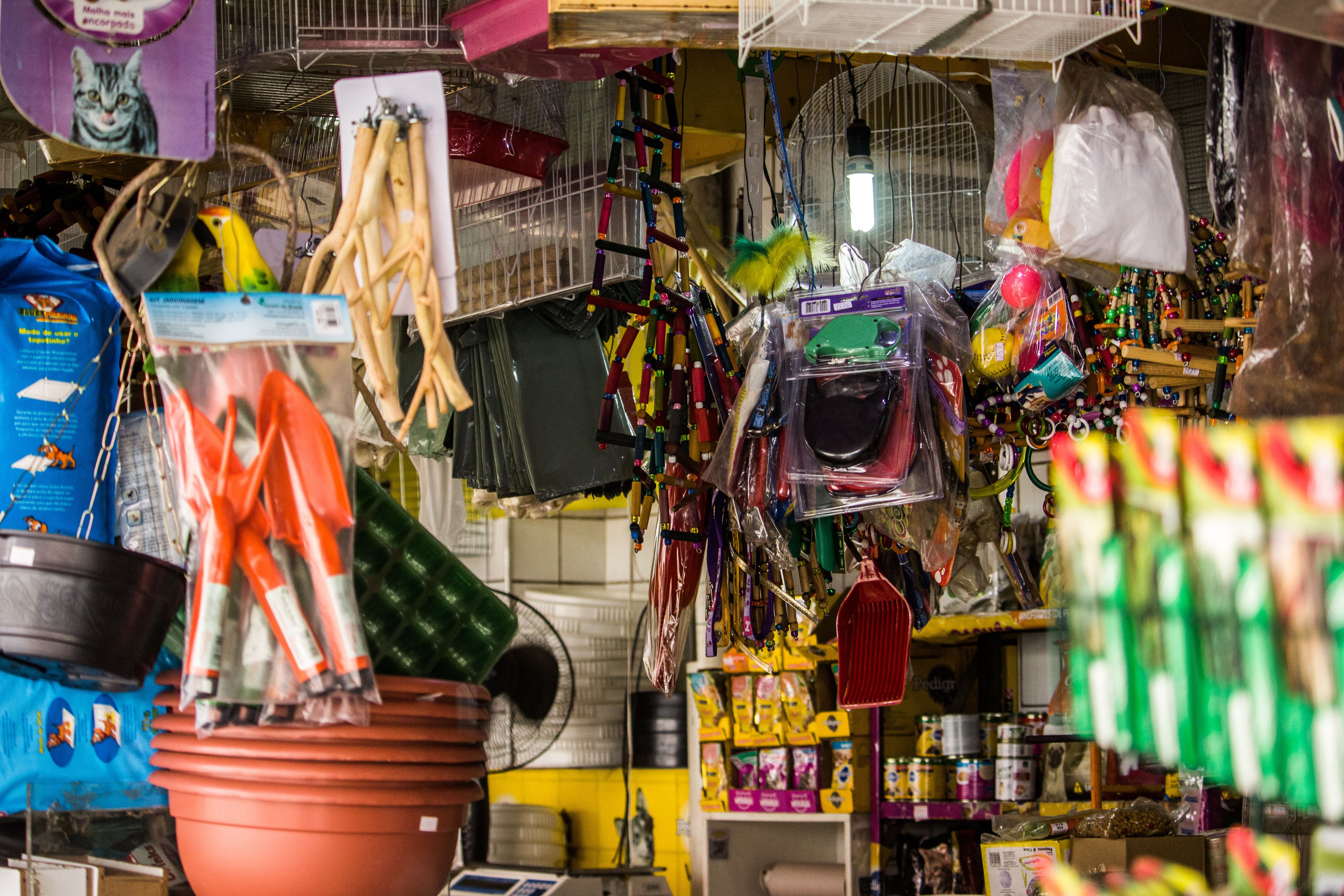 Happy pets with quality pet supplies and toys