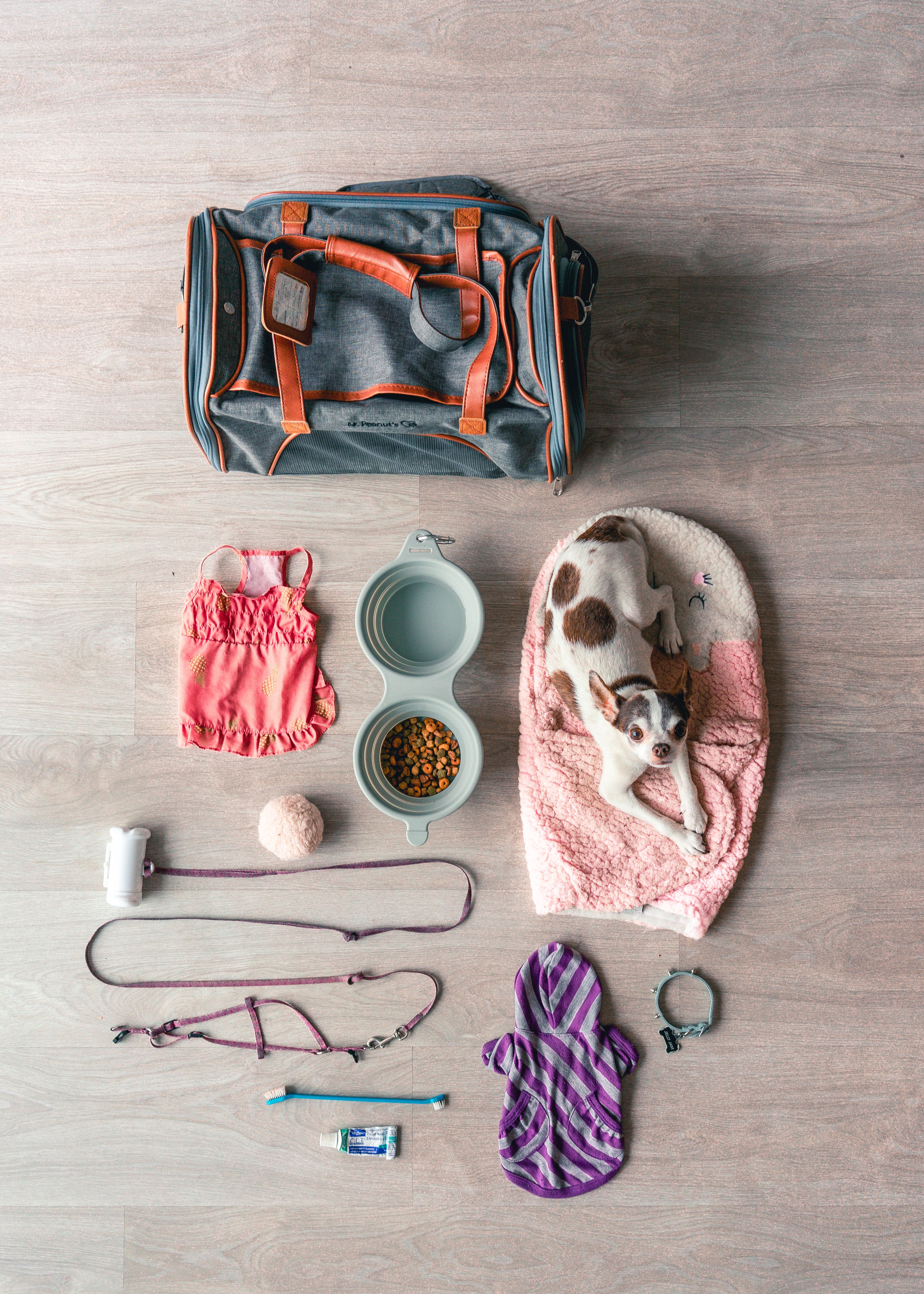 Variety of quality pet products including food, toys, and accessories